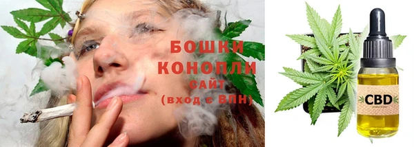PSILOCYBIN Алзамай