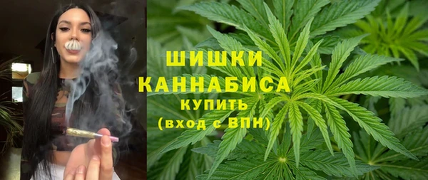 PSILOCYBIN Алзамай