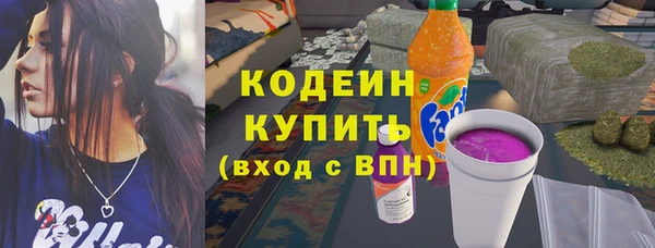 PSILOCYBIN Алзамай