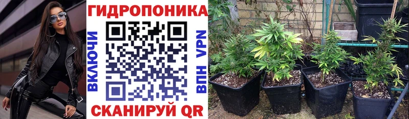 мега как войти Долинск мориарти телеграм Бошки марихуана сатива
